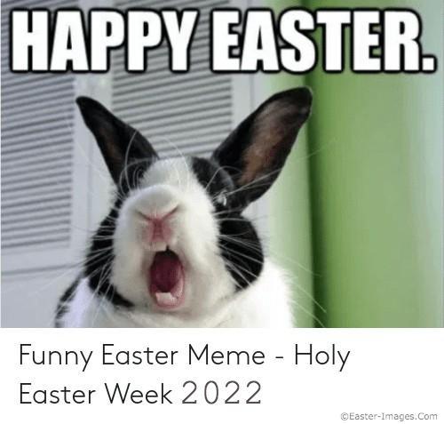 Happy Easter Meme 2022