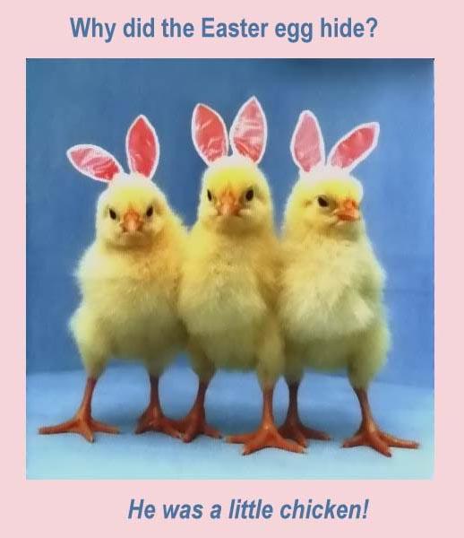 Funny Easter Meme Pictures